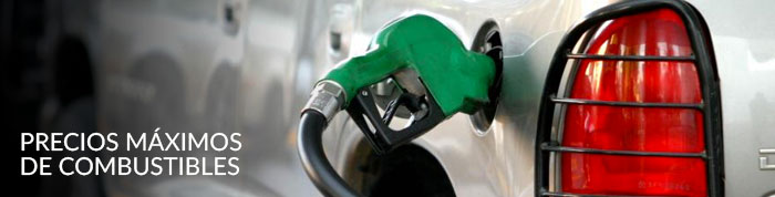 Precios máximos al público aplicables a las gasolinas y el diésel, vigentes para el 25 de abril de 2017