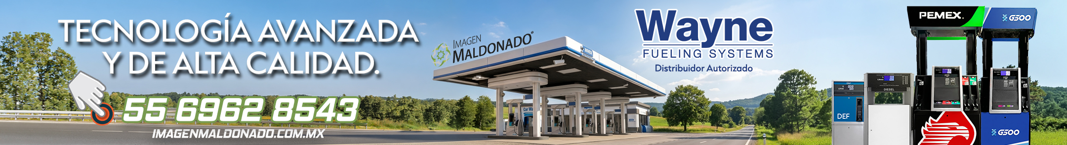 Imagen Maldonado