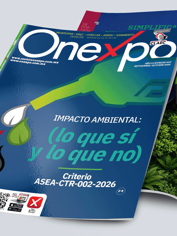 IMPACTO AMBIENTAL: (lo que sí y lo que no)