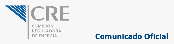 CRE | Formulario para carga masiva